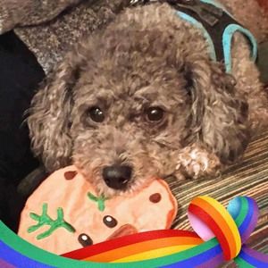 Meet your Posher, Tamie